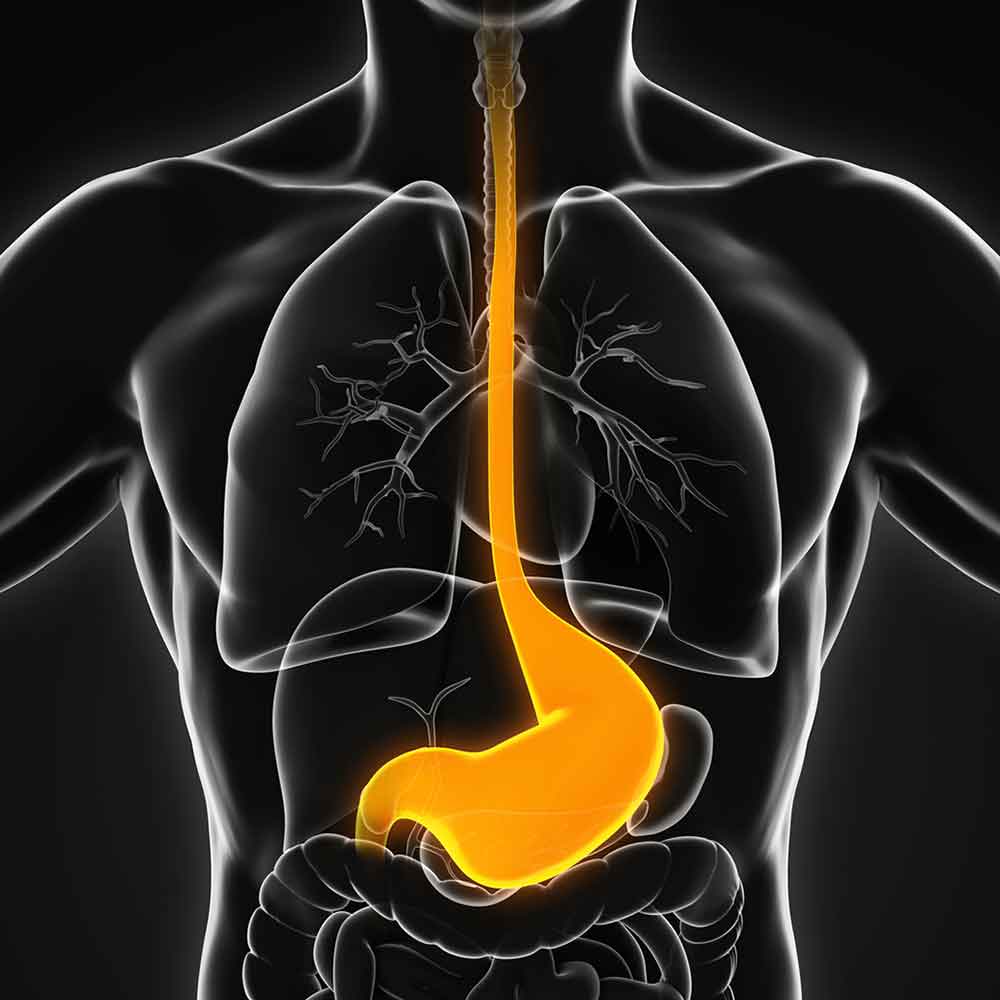 10-reasons-for-low-stomach-acid-how-to-treat-heartburn