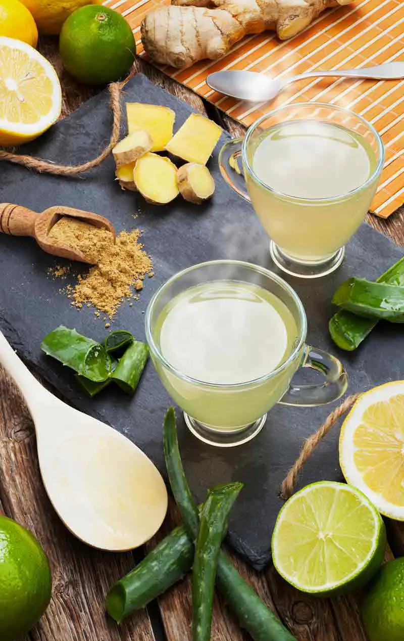 Aloe Vera, Lemon, Lime, and Ginger Drink Recipe For ...