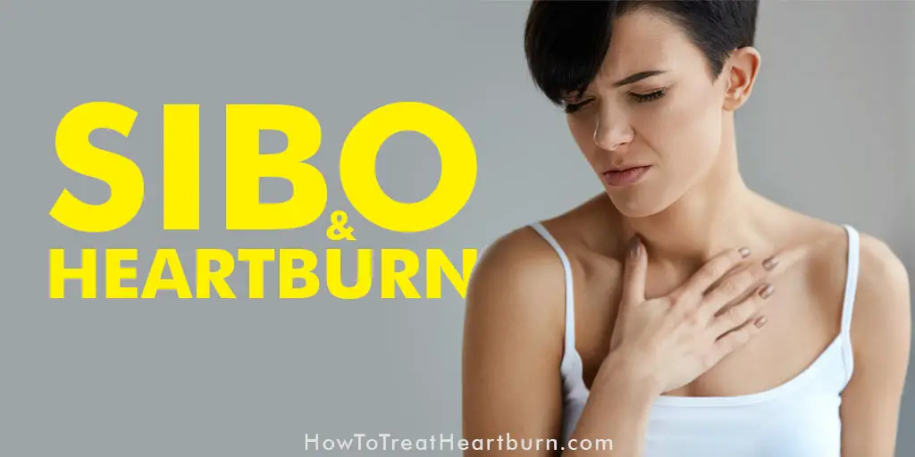 SIBO symptoms can lead to the development of GERD if left untreated. SIBO symptoms like gas, bloating and slowed digestion cause acid reflux symptoms like heartburn. SIBO treatment may effectively serve as an effective GERD remedy for many.