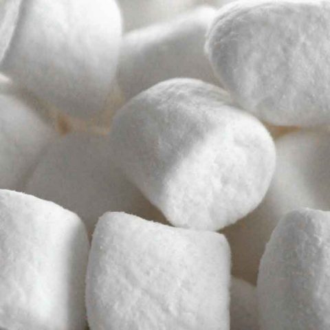 Marshmallow Root For Acid Reflux